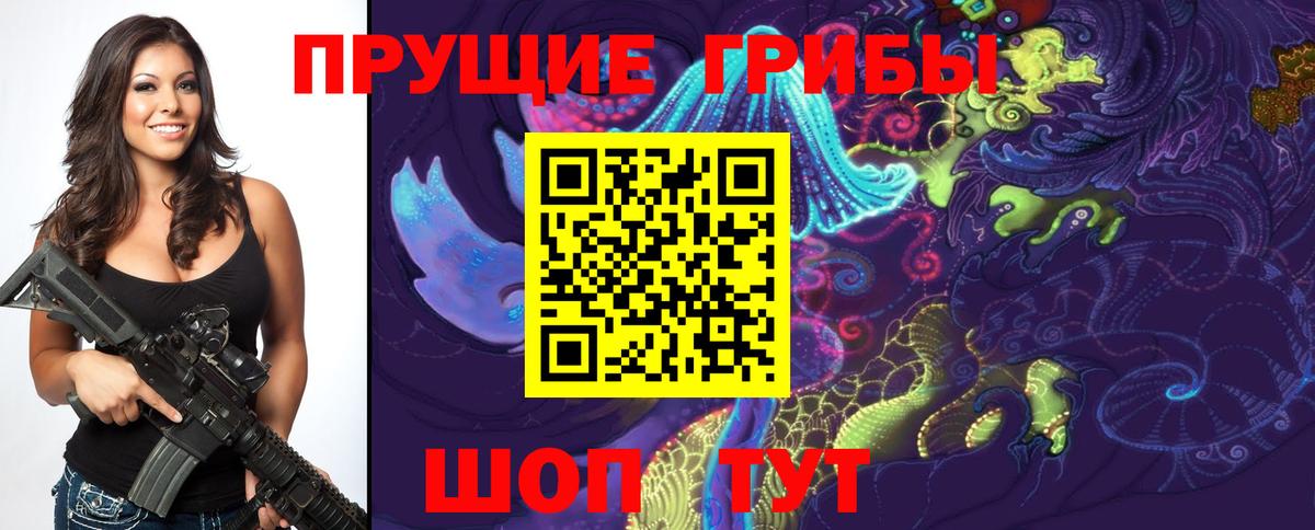 Нефтекумск  Галлюциногенные грибы Psilocybe  Вход с VPN 
