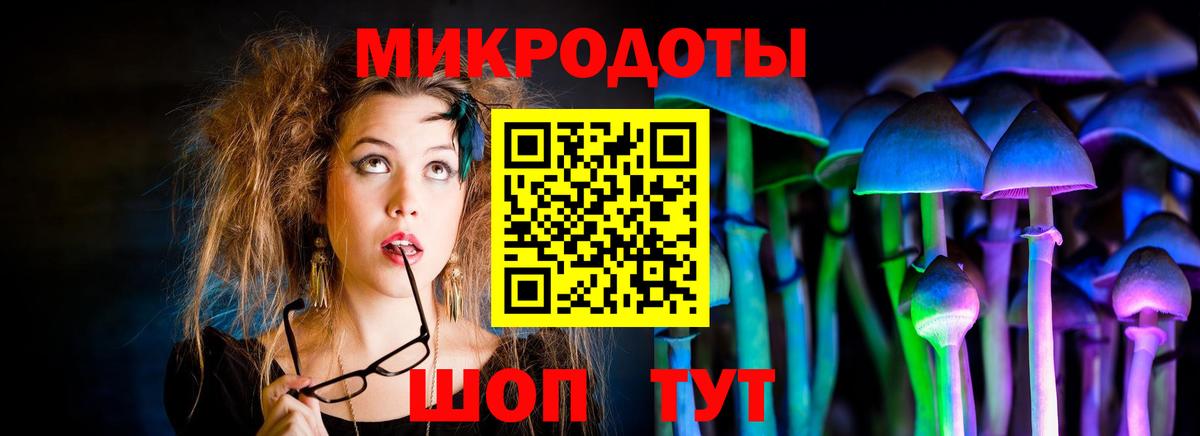 Галлюциногенные грибы Magic Shrooms Нефтекумск